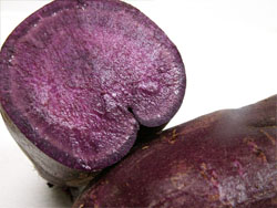 紫芋